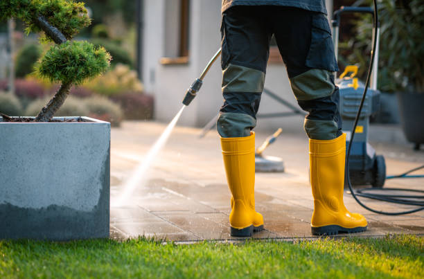 Best Deck Cleaning Services  in Garden City Park, NY